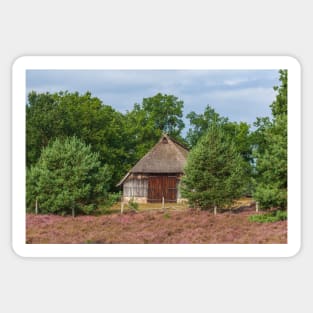 Farmhouse, heathland, heather blossom, Niederhaverbeck Sticker